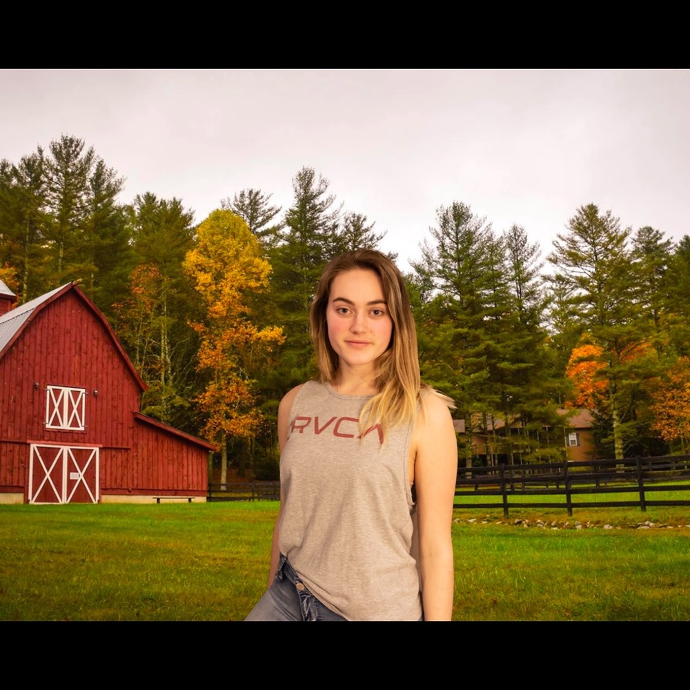 Gray men’s muscle tank top.